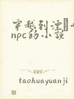 穿越到湮婸世界npc的小说