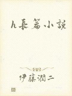 h长篇小说
