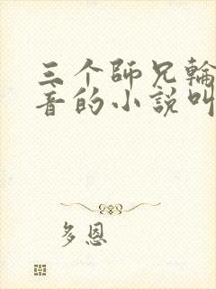 三个师兄轮流上音的小说叫什么