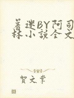 着迷BY阿司匹林小说全文免费阅读