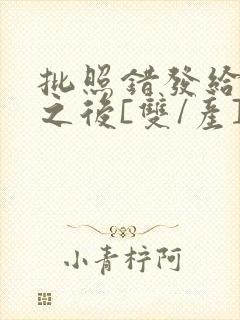 批照错发给情敌之后[双/产]