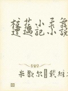 校花小柔舞蹈室遭遇记小说