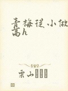 青梅从小做到大高h