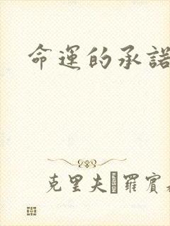 命运的承诺