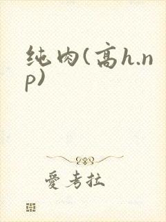 纯肉(高h.np)