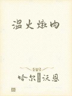 温火炖肉