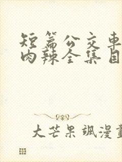 短篇公交车高h肉辣全集目录