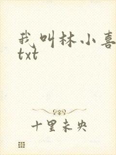 我叫林小喜小说txt