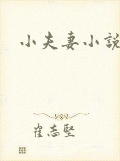 小夫妻小说