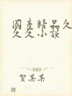 国产精品久久久久久小说