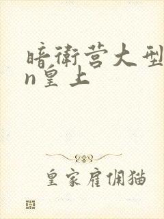 暗卫营大型hpn皇上