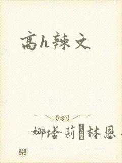 高h辣文