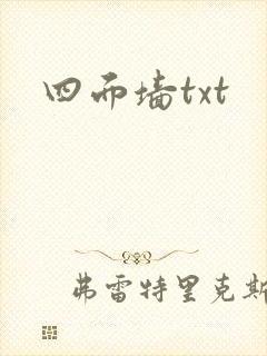四面墙txt