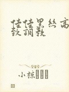 佳佳黑丝高跟极致调教