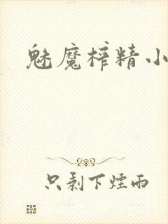 魅魔榨精小说