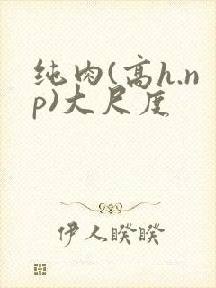 纯肉(高h.np)大尺度