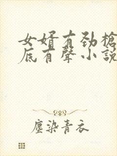 女婿有劲枪枪到底有声小说