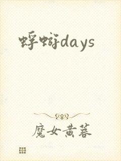 蜉蝣days