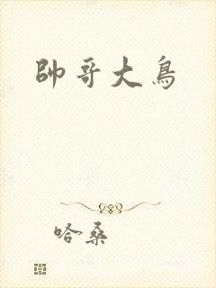 帅哥大鸟