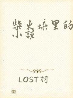 柴火垛里的疯狂小说