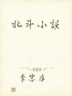 北斗小说