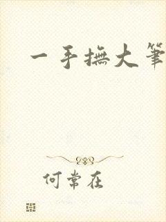 一手抚大笔趣阁