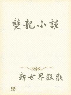 双龙小说