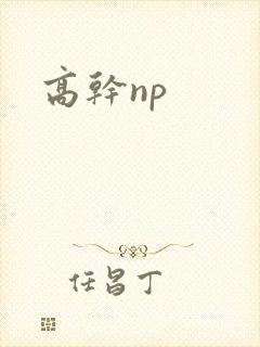 高干np