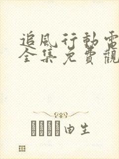 追风行动电视剧全集免费观看