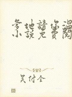 爹地请你温柔点小说免费阅读