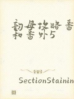 韵母攻略番外4和番外5