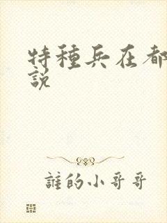 特种兵在都市小说