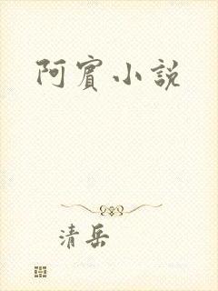 阿宾小说