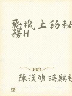 飞机上的秘密服务H