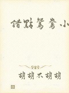 错点鸳鸯小说