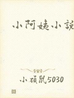 小阿姨小说