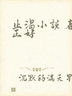 止渴小说 春光正好