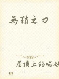 无鞘之刃