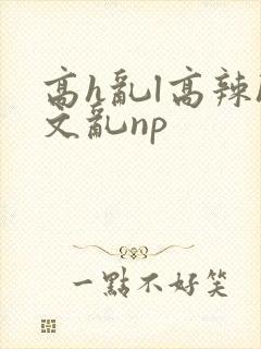高h乱l高辣h文乱np