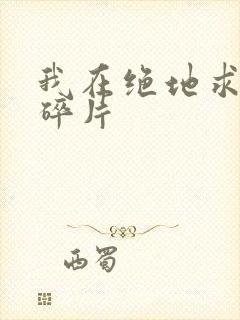 我在绝地求生捡碎片