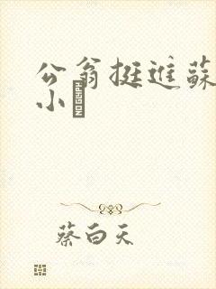 公翁挺进苏玥的小泬