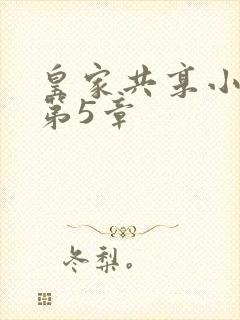 皇家共享小公主第5章