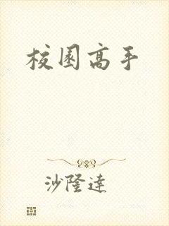 校园高手