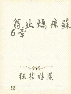 翁止熄痒苏玥第6章