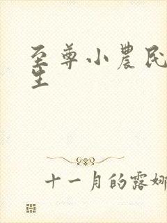 至尊小农民王木生