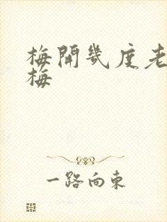 梅开几度老周张梅