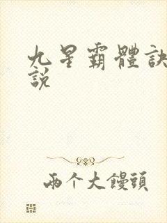 九星霸体诀 小说