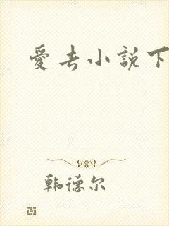 爱去小说下载网