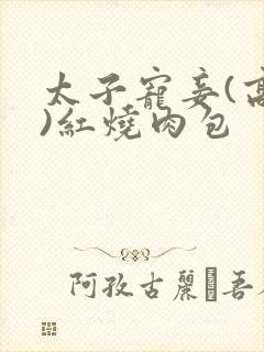 太子宠妾(高肉)红烧肉包