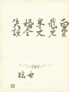 失婚半截白菜小说全文免费阅读